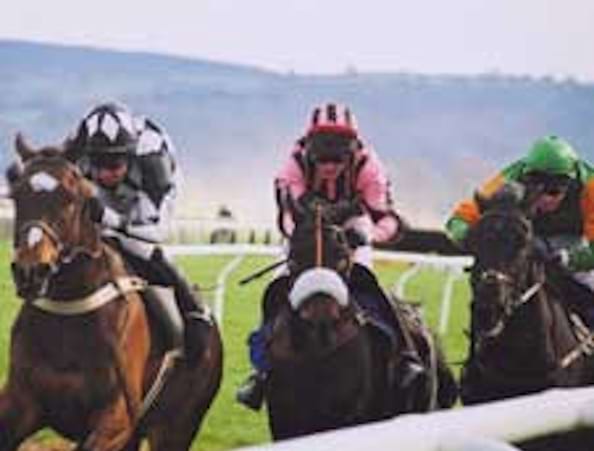 Taunton Racecourse