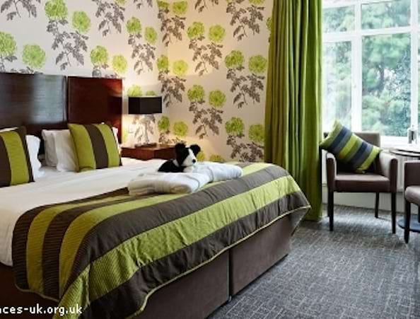 The Coed Y Mwstwr Hotel