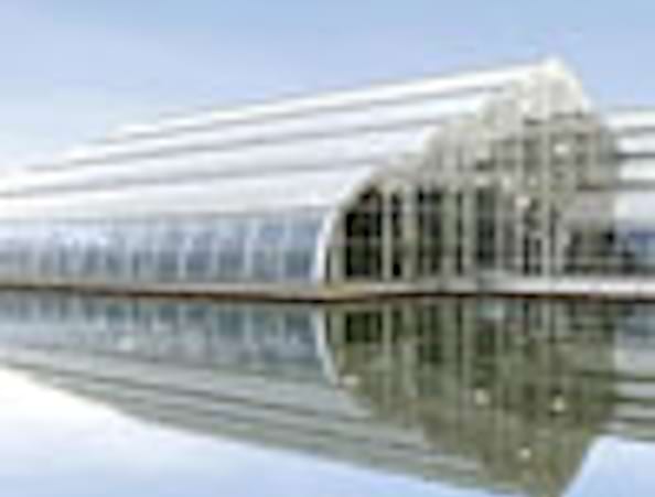 The Glasshouse Surrey