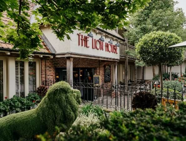 The Lion