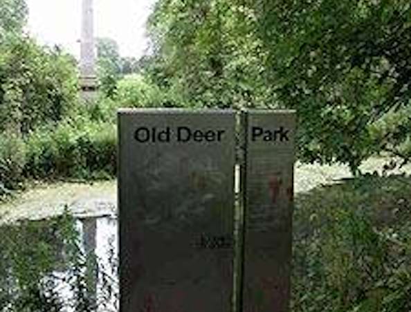 The Old Deer Park