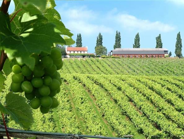 Three Choirs Vineyard Hotel Gloucestershire