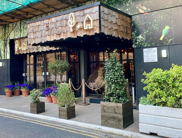 Treehouse London