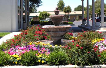 Best Western Colony Inn