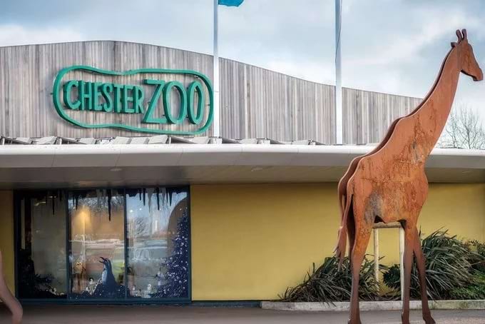 chester zoo tickets anniversary