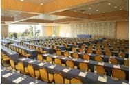 Don Carlos Hotel Marbella