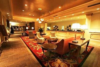 Hilton Rye Town