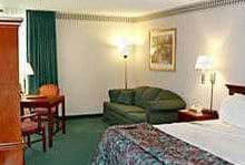 Holiday Inn Gurnee-Convention Center