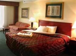 Holiday Inn Select Richmond-Koger South Conference Center