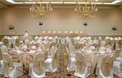 Holiday Inn St  Louis   South County Center