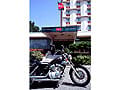 Mercure Arles Camargue