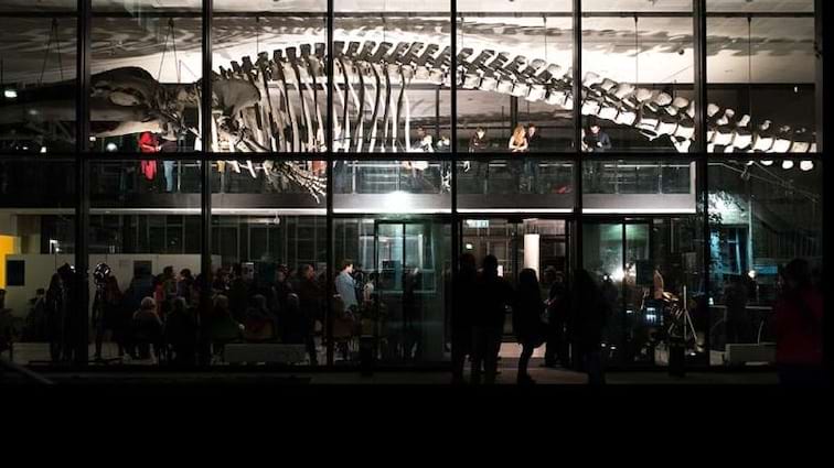 Museum of Zoology Cambridge