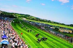 Newton Abbot Racecourse and Conference Centre
