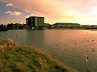 Novotel Carnac