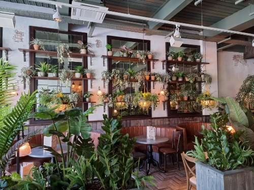 The Botanist Lincoln