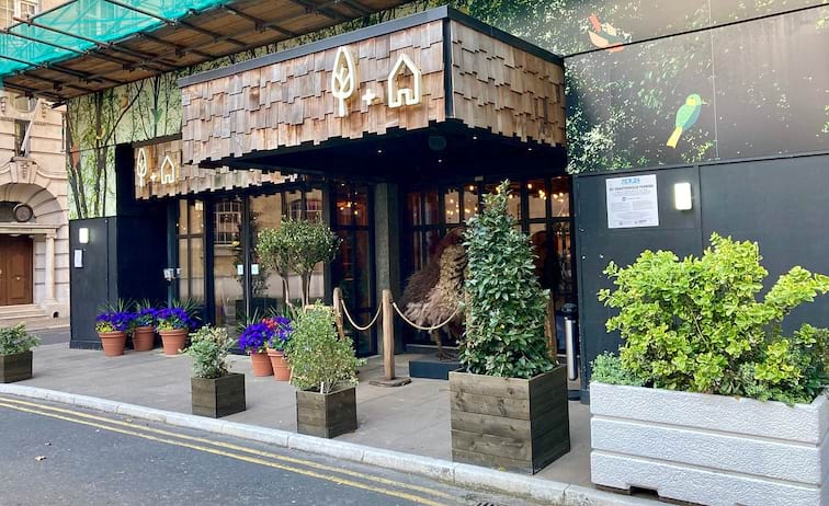 Treehouse London