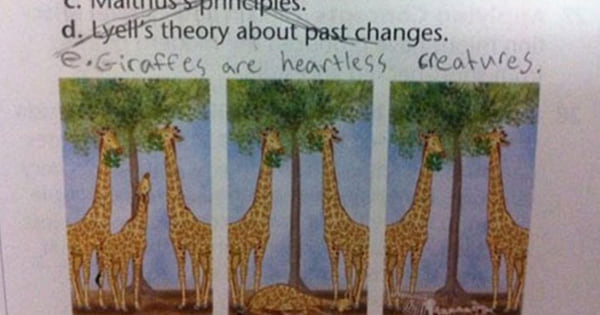 10 Students Who Totally Nailed Their Test Answers