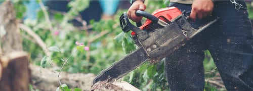 J & B Tree Service in Semaphore